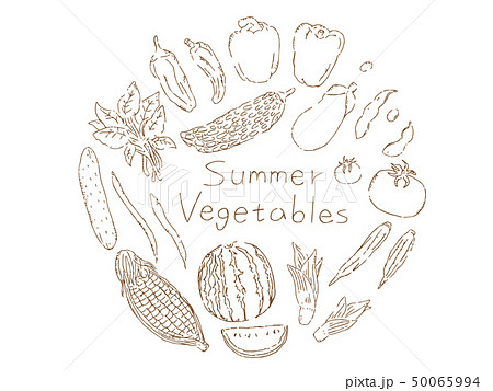 手描き夏野菜イラストセットのイラスト素材