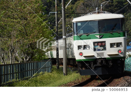 春の伊豆急行線をゆく特急踊り子号 春の伊豆急行線をゆく特急踊り子号 50066953