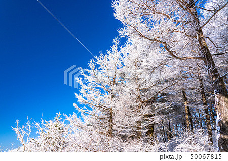 霧氷・白銀の森 50067815