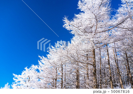 霧氷・白銀の森 50067816