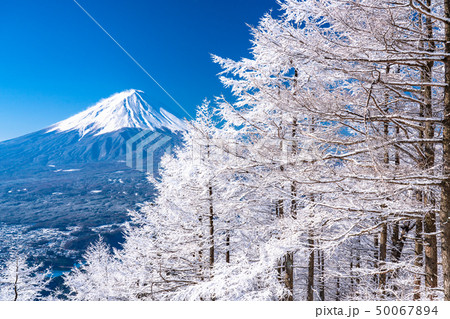 《山梨県》日本の冬・富士山と霧氷 《山梨県》日本の冬・富士山と霧氷 50067894