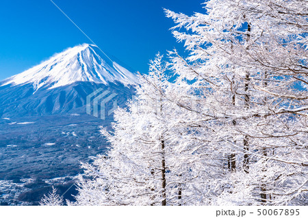 《山梨県》日本の冬・富士山と霧氷 《山梨県》日本の冬・富士山と霧氷 50067895