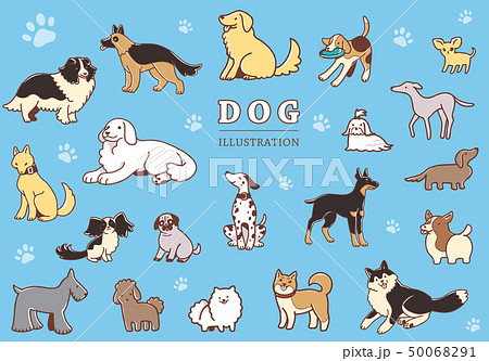 犬のイラストセット 犬のイラストセット 50068291