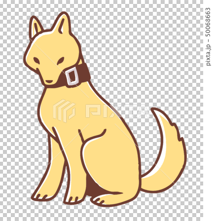 Kishu dog illustration 50068663