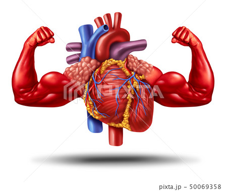 Strong Healthy Heart Strong Healthy Heart 50069358