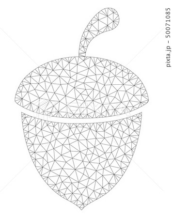 Acorn Polygonal Frame Vector Mesh Illustration 50071085