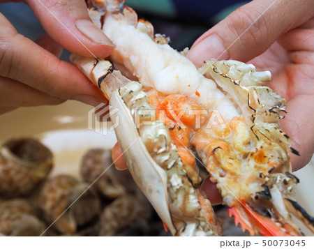 Grilled big tiger prawn's head being peeled. Grilled big tiger prawn's head being peeled. 50073045