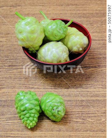 Green Noni or Morinda Citrifolia Fruits 50075997