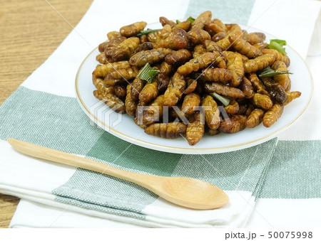 Deep Fried Coconut Worms on A White Dish 50075998