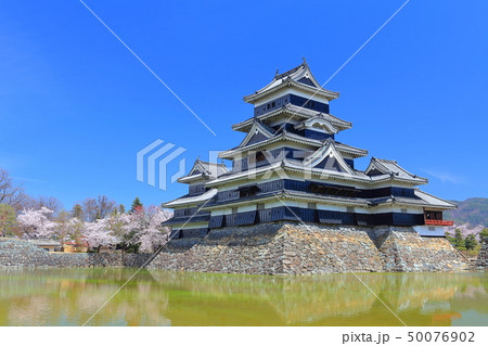 【長野県】桜満開の松本城（大天守と乾小天守と月見櫓） 50076902