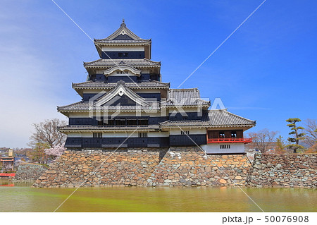【長野県】桜満開の松本城(大天守と月見櫓) 【長野県】桜満開の松本城(大天守と月見櫓) 50076908