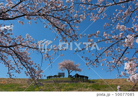 決潰の碑 決潰の碑 50077085
