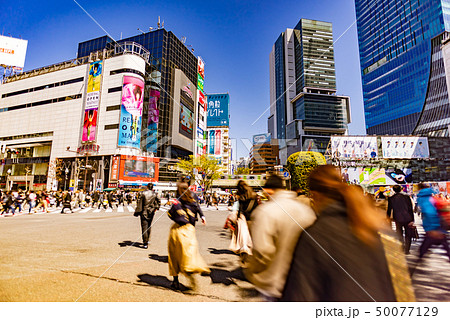 渋谷スクランブル交差点 50077129