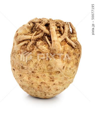 Fresh celery root isolated on white background Fresh celery root isolated on white background 50077195