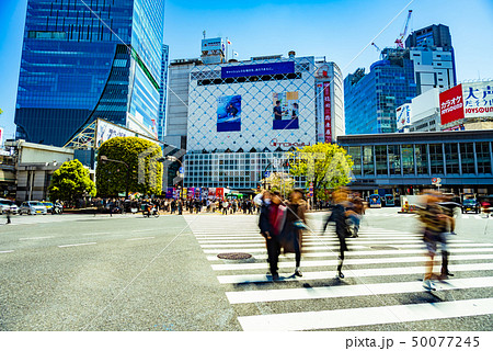 渋谷スクランブル交差点 50077245