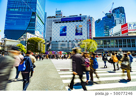 渋谷スクランブル交差点 50077246