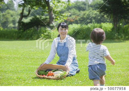 夏野菜収穫 親子 夏野菜収穫 親子 50077958