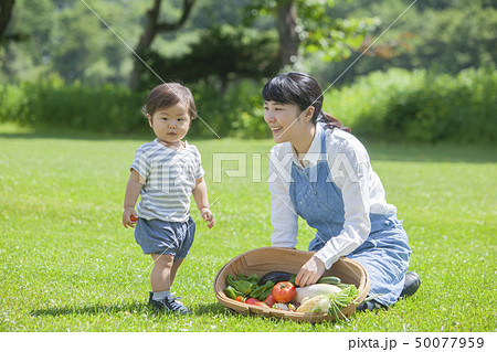 夏野菜収穫 親子 夏野菜収穫 親子 50077959