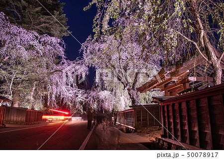 秋田県 仙北市 角館 しだれ桜のライトアップ 秋田県 仙北市 角館 しだれ桜のライトアップ 50078917
