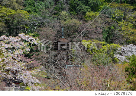 談山神社の十三重塔 50079276