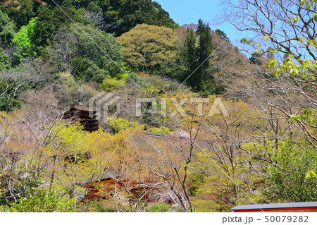 談山神社の十三重塔 談山神社の十三重塔 50079282