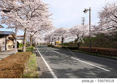岩手県・平泉 岩手県・平泉 50079318