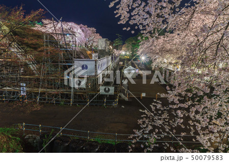 下乗橋から見た春のライトアップされた弘前城跡の修復中の石垣の風景 50079583