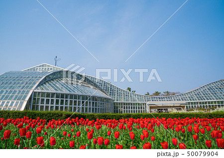京都府立植物園の温室とチューリップ の写真素材