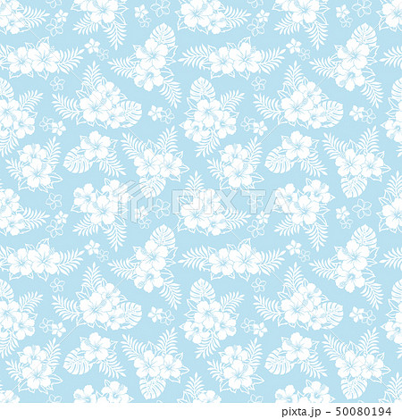 ハイビスカス　トロピカル　広告背景 50080194