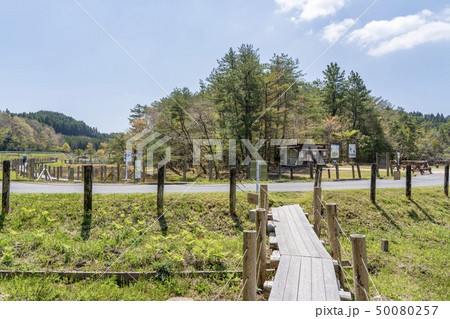 樫原湿原(佐賀県唐津市) 50080257