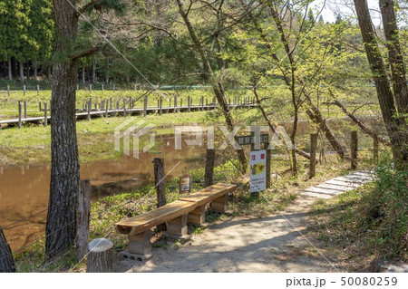 樫原湿原(佐賀県唐津市) 50080259
