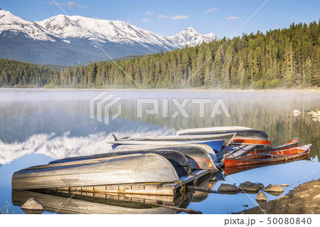 Canoes on Patricia Lake in Jasper National Park, Alberta, Canada 50080840
