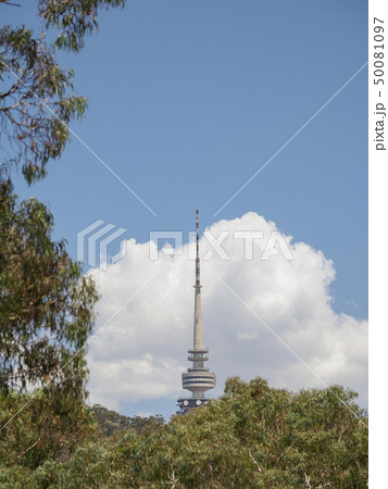 Telstra Tower behind trees in Canberra, Australia 50081097