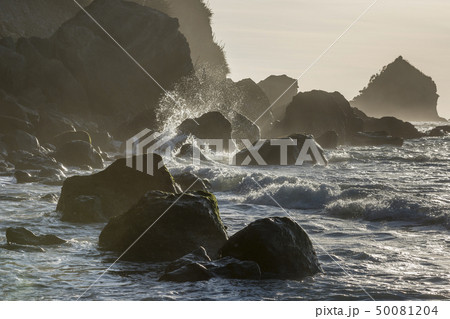 Rocks on beach at sunset in Barrytown, New Zealand Rocks on beach at sunset in Barrytown, New Zealand 50081204