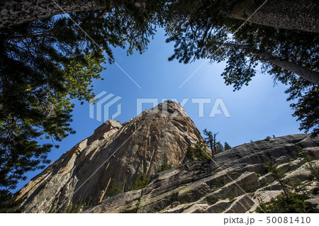 Low angle view of cliff by trees in Stanley, Idaho, USA Low angle view of cliff by trees in Stanley, Idaho, USA 50081410