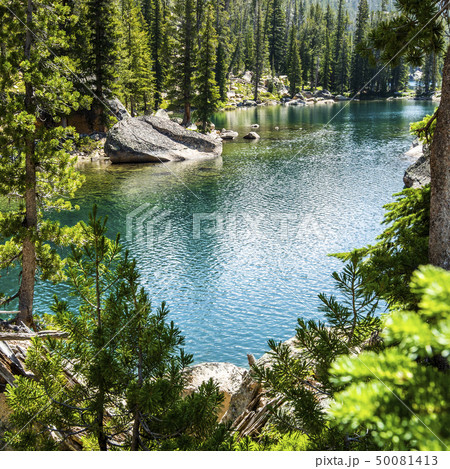 Forest river in Stanley, Idaho, USA Forest river in Stanley, Idaho, USA 50081413