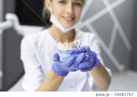Dental assistant holding model teeth Dental assistant holding model teeth 50081707