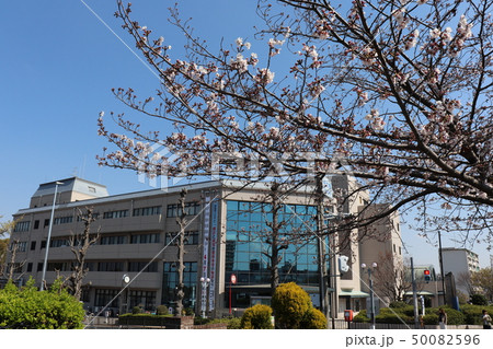 堺市南区役所・春の風景 堺市南区役所・春の風景 50082596