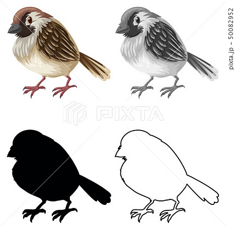 Set Of Sparrow Characterのイラスト素材