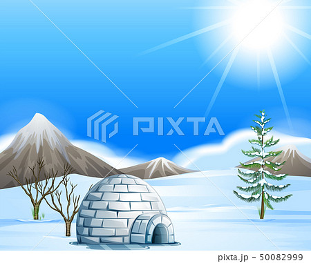 Igloo in the north pole Igloo in the north pole 50082999