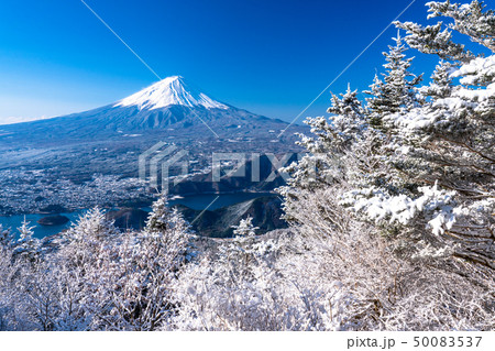 《山梨県》日本の冬・富士山と霧氷 《山梨県》日本の冬・富士山と霧氷 50083537