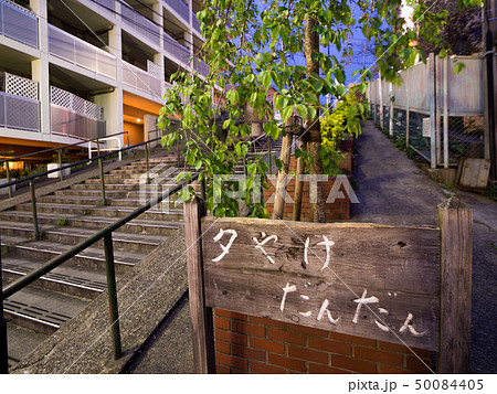 谷中銀座 夕焼けだんだん 谷中銀座 夕焼けだんだん 50084405