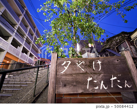 谷中銀座　夕焼けだんだん 50084412