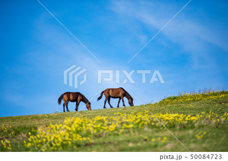 観光地 観光地 50084723