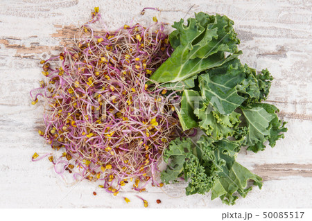 Fresh kale sprouts with leaves of vegetable 50085517