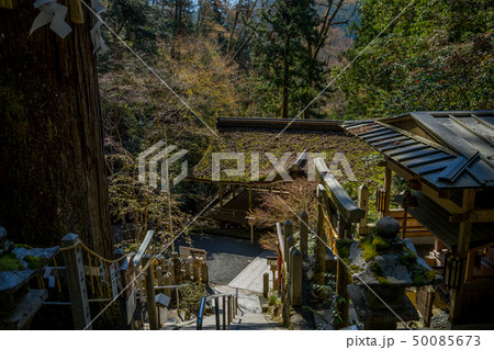 初春の由岐神社 初春の由岐神社 50085673
