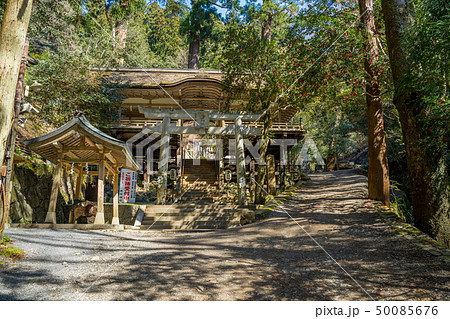 初春の由岐神社 初春の由岐神社 50085676