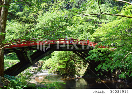 国宝 羽黒山五重塔周辺の風景 50085912
