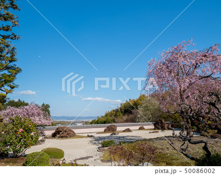 京都洛西 正法寺 京都洛西 正法寺 50086002