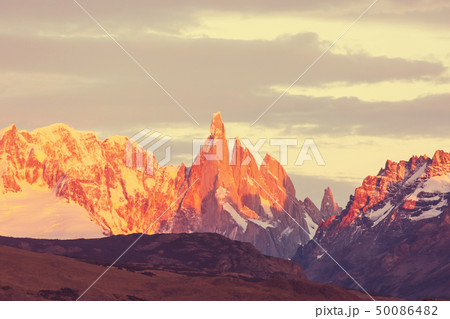 Cerro Torre 50086482